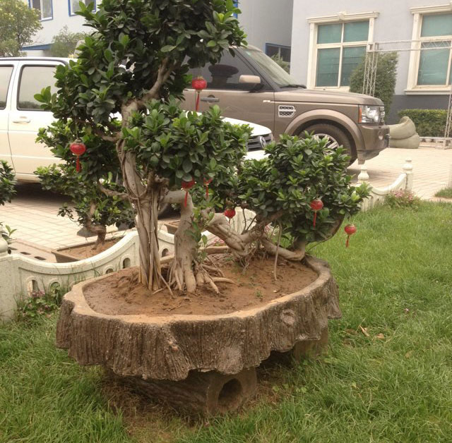 �c����Ԕ��(x��)�Y��